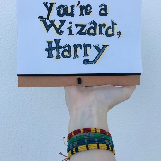 You Are A Wizard Harry...